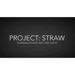 Project Straw by Brandon David