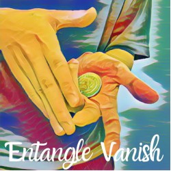 Entangle Vanish by Kohei Oi