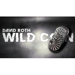 David Roth - Wild Coin