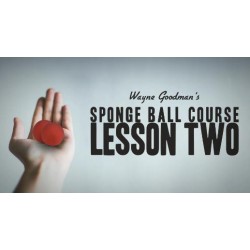 Wayne Goodman - Sponge Ball Course Lesson 2