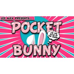 Pocket Bunny by Lee Alex