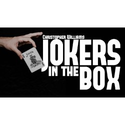 Christopher Williams - Jokers In The Box