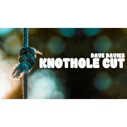 Dave Davies - Knothole Cut