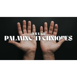Ben Earl - Palming Techniques