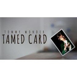 Tommy Wonder - Tamed Card