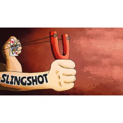 The Slingshot by Joel Anthony