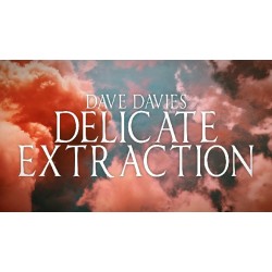 Dave Davies - Delicate Extraction