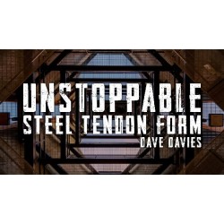 Dave Davies - Unstoppable Steel Tendon Form