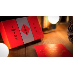 Shim Magnets by Shin Lim