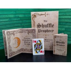 Ryan Pilling - Shuffle Prophecy (Video+PDF+Templates)