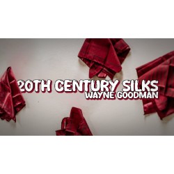 Wayne Goodman - 20Th Century Silks