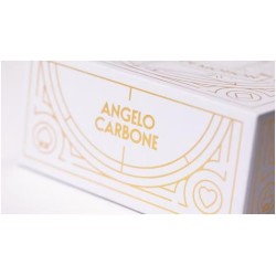 Notion of Motion by Angelo Carbone (Video+PDF)
