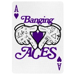 Daniel Madison - BANGING ACES - Sleight-of-Hand Workshop