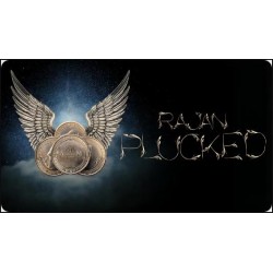 Rajan - Plucked