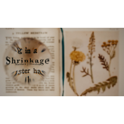 Matthew Dowden - Shrinkage