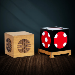 Fun Cube by Tora Magic Company