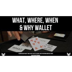 What, Where, When and Why by Vulpine (Video+PDF)