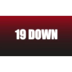 19 Down by Adam Wilber