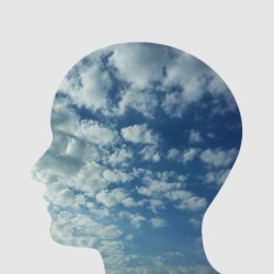 Neal Scryer - Hot Over The Phone