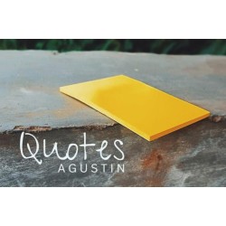 Quotes by Agustin