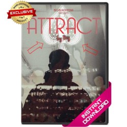 Attract by Biz