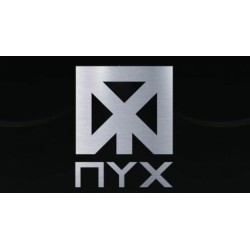NYX Project by Luca Volpe (Video+PDF)