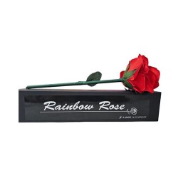 Rainbow Rose by JL Magic