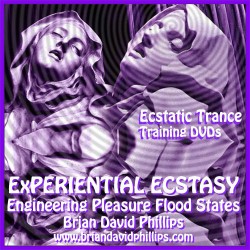 Brian David Phillips - eXperiential Ecstacy