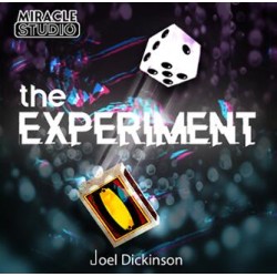 THE EXPERIMENT by Joel Dickinson