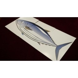 Fishy Fish by Shoji