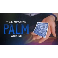 The Galsworthy Palm Collection by John Galsworthy