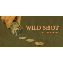 Wild Shot by Riku Sawamura