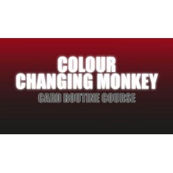 Colour Changing Monkey by Craig Petty
