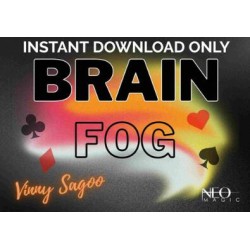 Brain Fog by Vinny Sagoo