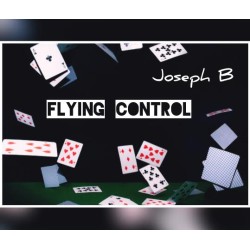 FLYING CONTROL by Joseph B
