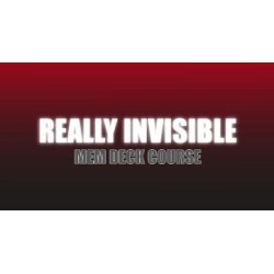 Really Invisible by Craig Petty