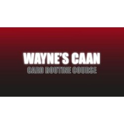 Wayne