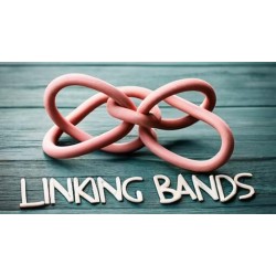 Linking Bands by Fernando Moreno