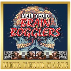 Brain Bogglers by Meir Yedid