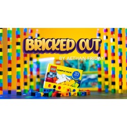 Bricked Out by Aethan Friday