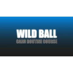 Wild Ball by Craig Petty