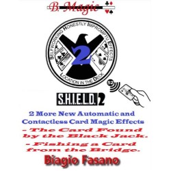 S.H.I.E.L.D. 2 by Biagio Fasano