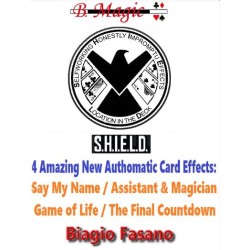 S.H.I.E.L.D. by Biagio Fasano