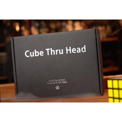 Cube Thru Head by David Penn