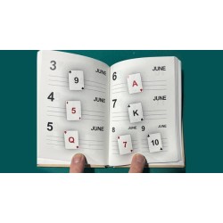LS Diary by Leo Smetsers