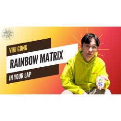 The Vault - Rainbow Matrix on Lap by Viki Gong
