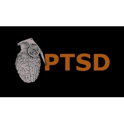 PTSD by Mark Lemon