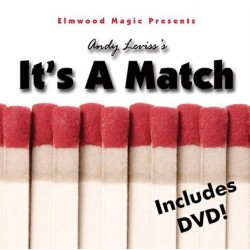 It's A Match by Andy Leviss