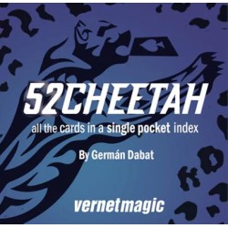 52 Cheetah by German Dabat