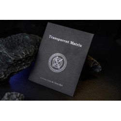 Transparent Matrix by Artisan Coin & Chen Hui